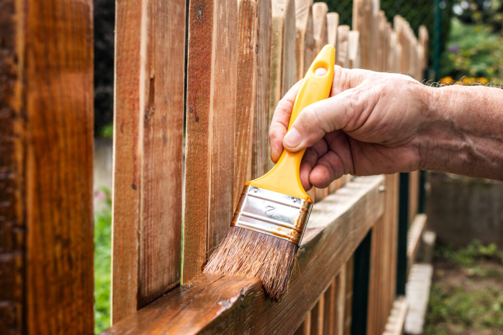 Applying penetrating stain to a cedar fence